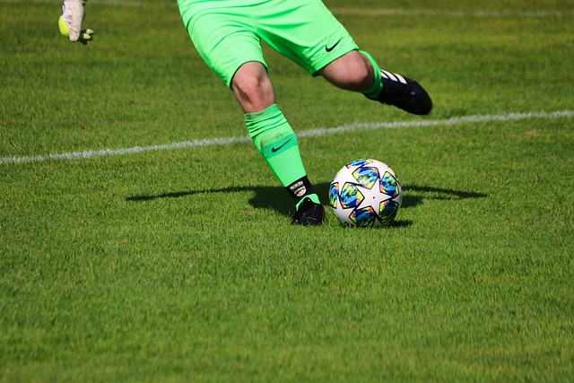 其中包括 其中包括